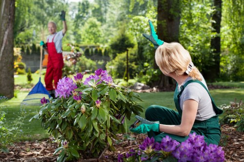 Gardener mowing a small lawn in a Chiswick front garden