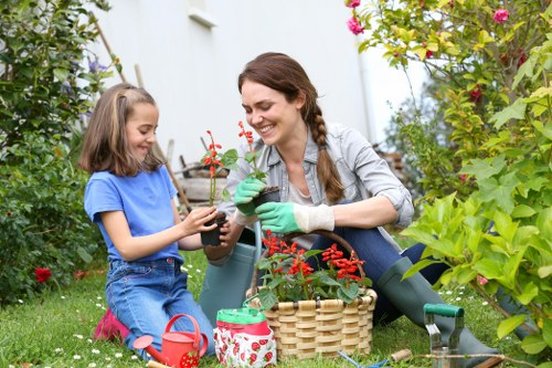 Professionally cleared garden in Chiswick