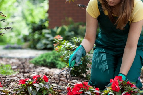 Professional landscaper planning a garden layout in Chiswick