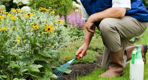 Seasonal gardening activities in a Chiswick landscape garden