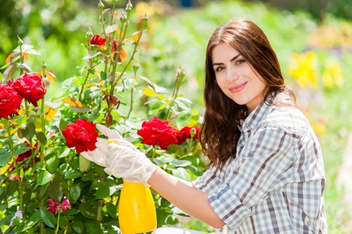 Eco-friendly tree removal practices in Chiswick