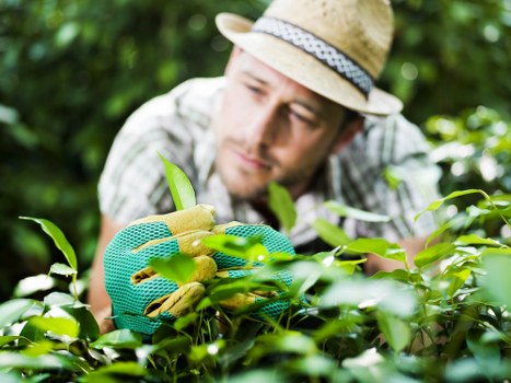 Eco-friendly lawn care practices