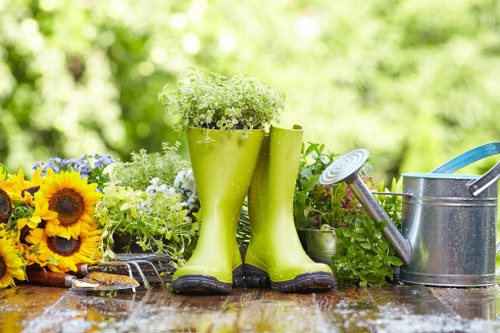 Seasonal lawn care services in Chiswick