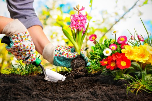 A gardener wearing patterned gloves is planting a pink hyacinth flower into freshly turned dark soil in a landscaped garden. Surrounding the planting area are vibrant flowering plants including yellow, red, pink, and white blooms, creating a lively and colorful garden scene. In the background, there are blurred green foliage and trees, indicating an outdoor setting during daylight with natural lighting, possibly in spring or early summer. The garden layout features a flower bed with a mixture of flowering plants arranged alongside a patch of well-maintained lawn, within a backyard or front garden environment. The scene captures a moment of garden planting and maintenance, reflecting services related to gardening, lawn care, and outdoor landscaping typical of a professional gardening company.