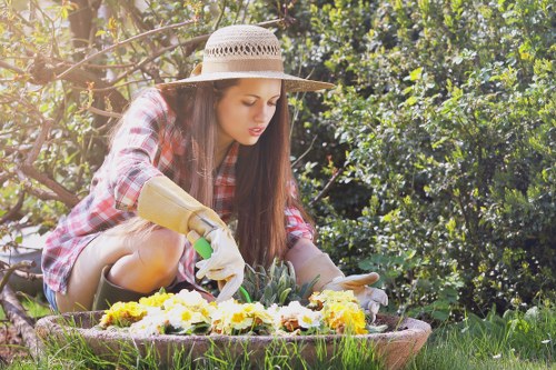 Healthy green lawn maintained by experts in Chiswick