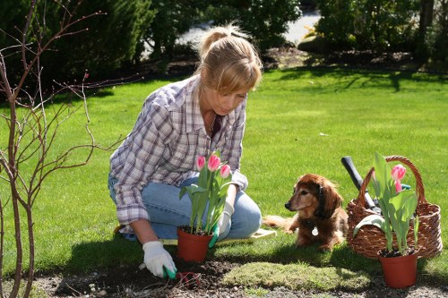 Experienced team selecting the right lawn mowing service in Chiswick