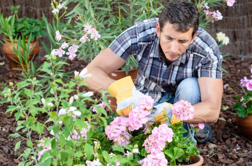 Operatives using PPE and maintained equipment during lawn mowing